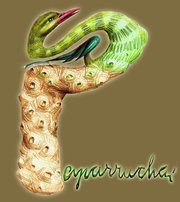 paparruchas