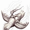 voladorcorcel