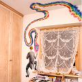 habDmatt-directorDmusica-pentagrama-color