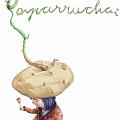 000paparruchalogo